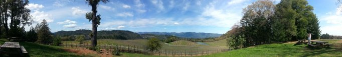 View at Pride Vineyard image