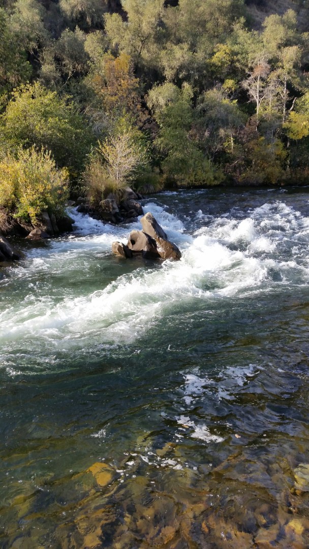 20141108_150541.jpg image