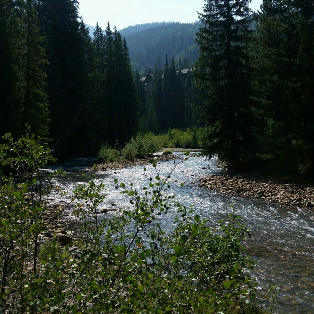 20150821_105923-1.jpg image